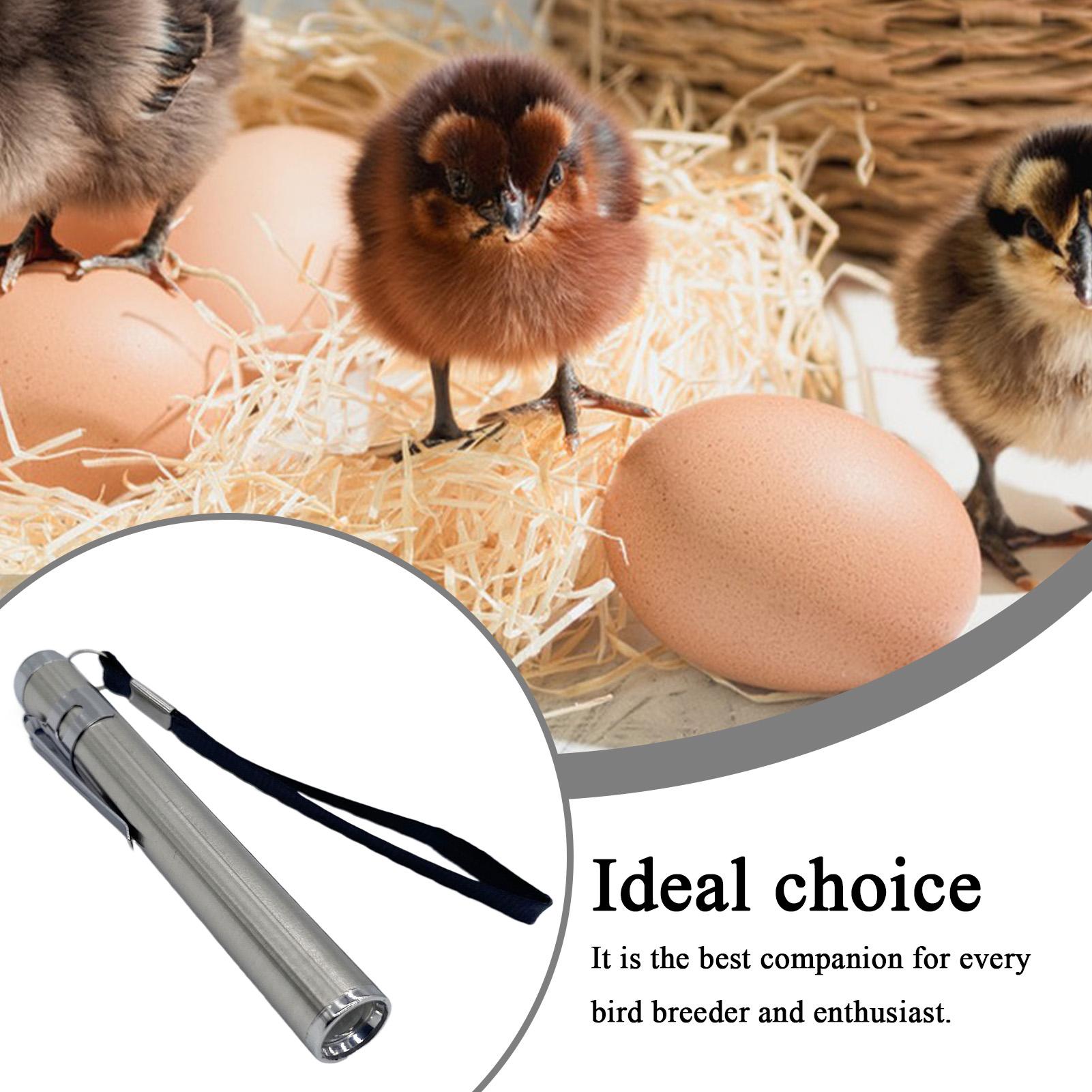 Egg Candler Light Portable Egg - огляд і ціна Homestead Lighting & Decor Oconomowoc