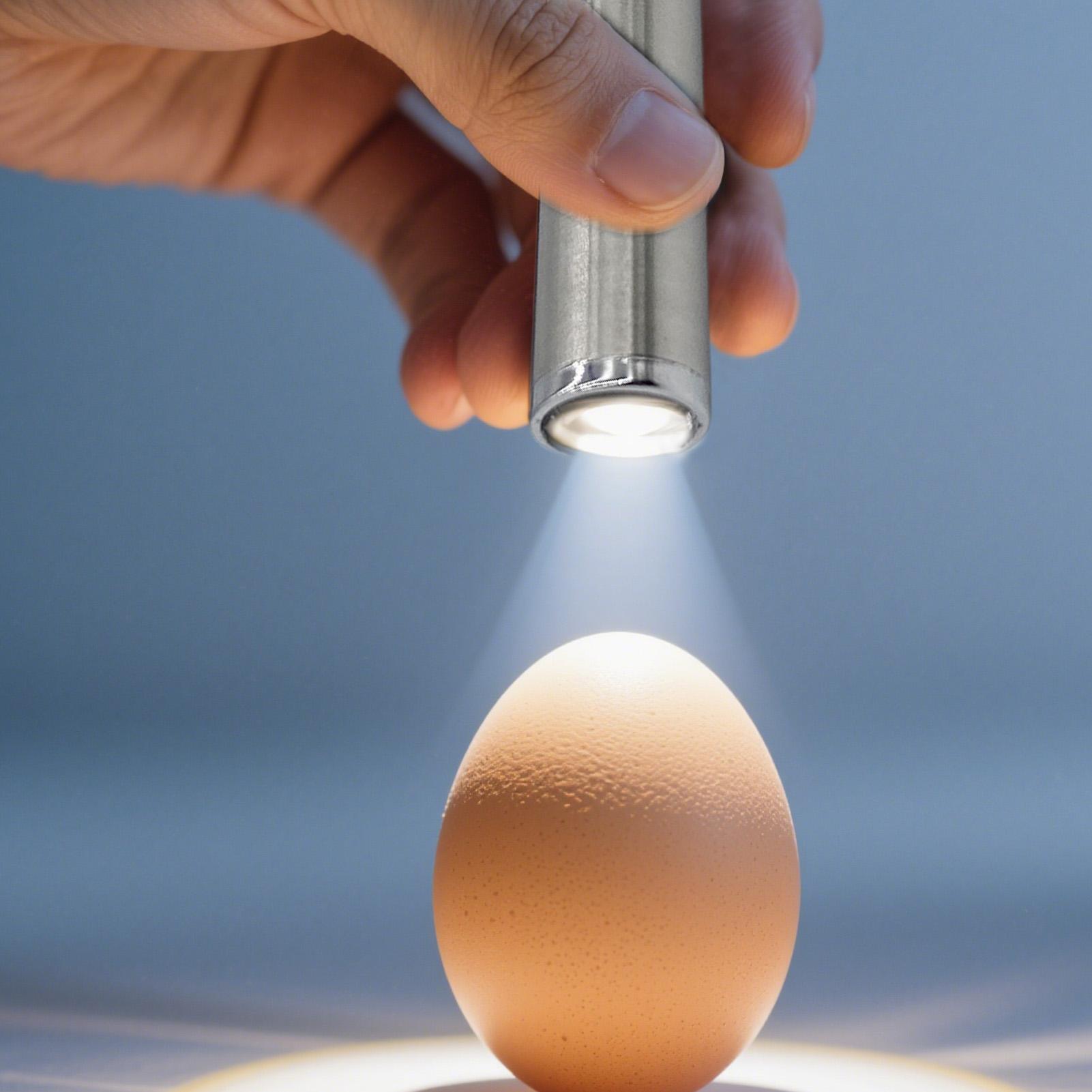 Egg Candler Light Portable Egg - огляд і ціна Homestead Lighting & Decor Oconomowoc
