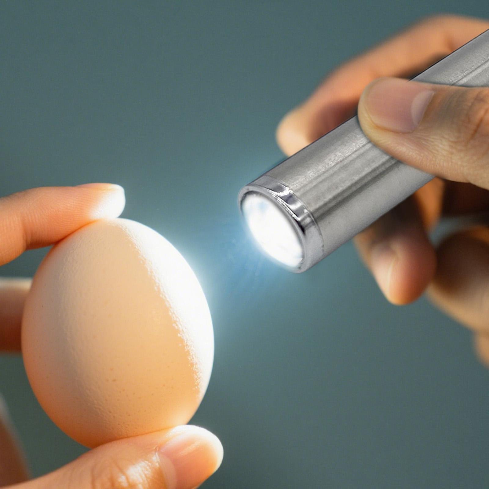 Egg Candler Light Portable Egg - огляд і ціна Homestead Lighting & Decor Oconomowoc