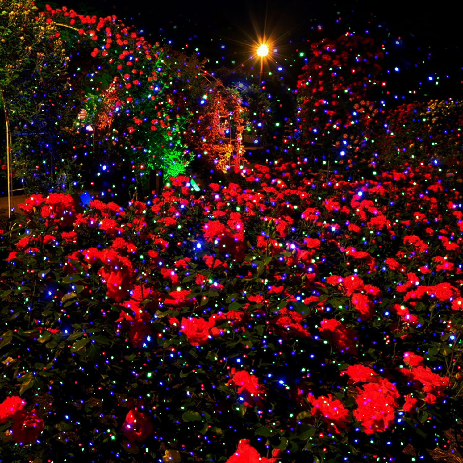 Christmas Starry Laser Project - огляд і ціна Lighting Effect Home Decor